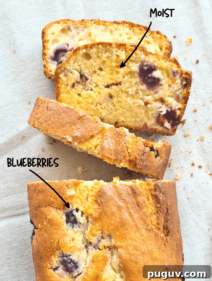 Moist Blueberry Yogurt Loaf Recipe 6 This blueberry yoghurt loaf is delicious, next level moist and since it has yoghurt and blueberries it's basically healthy