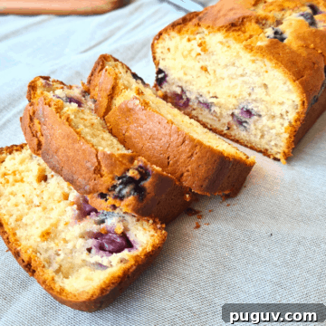 Moist Blueberry Yogurt Loaf Recipe 7 Blueberry yoghurt loaf