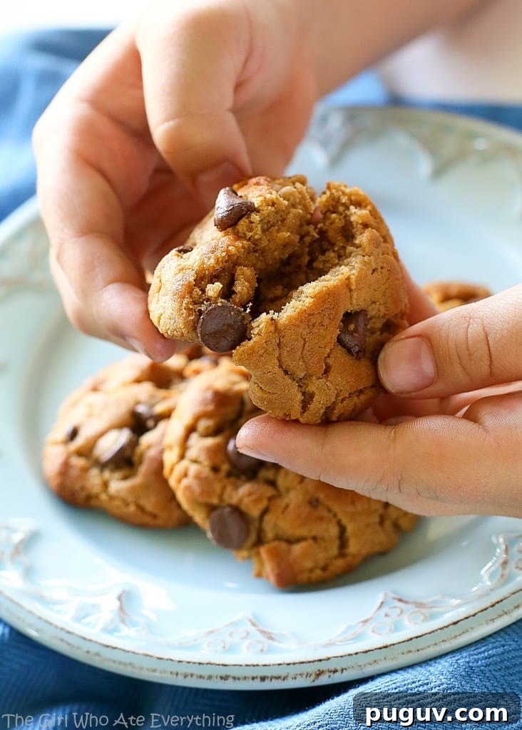Peanut Butter Chocolate Chip Cookies with 5 Simple Ingredients 3 Flourless Peanut Butter Chocolate Chip Cookies - only a few ingredients and gluten free! the-girl-who-ate-everything.com