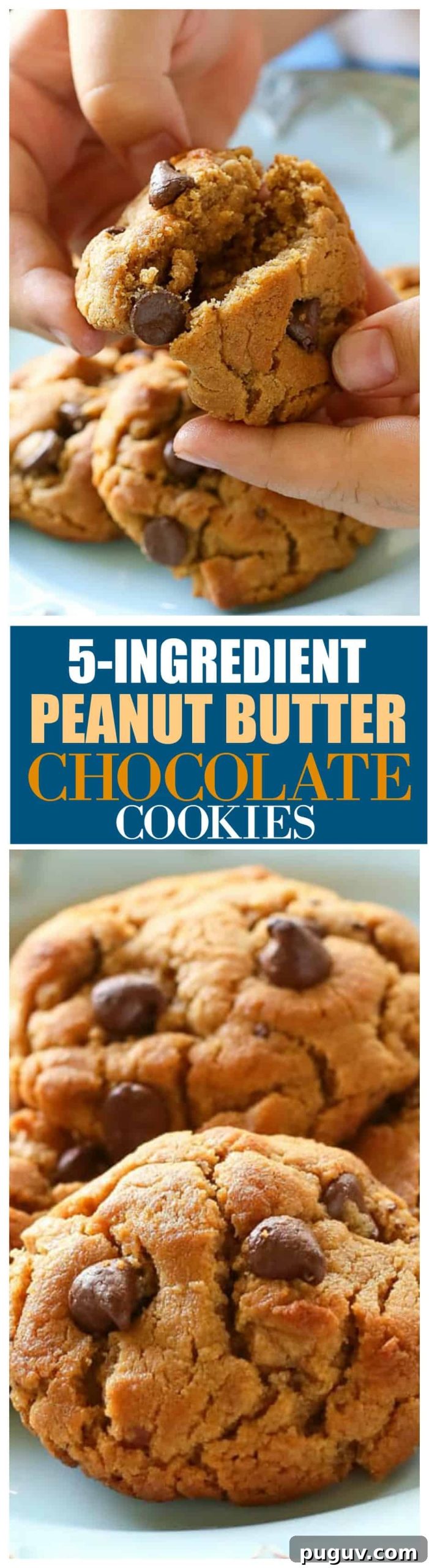 Peanut Butter Chocolate Chip Cookies with 5 Simple Ingredients 5 Flourless 5- Ingredient Peanut Butter Chocolate Chip Cookies - only a few ingredients and gluten free! #glutenfree #peanutbutter #cookies #flourless #dessert