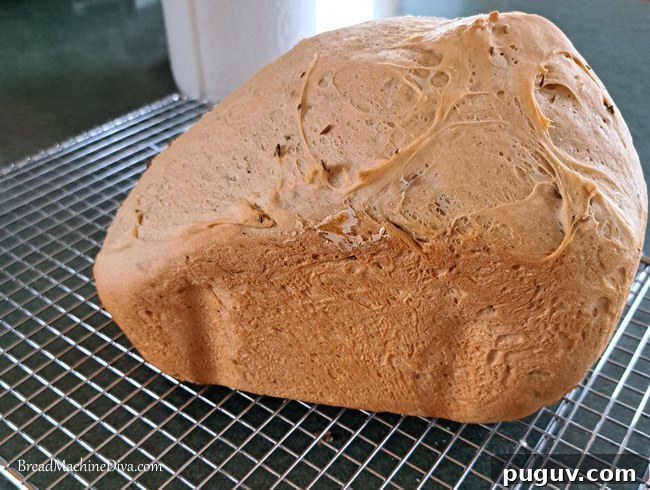 Hippo loaf