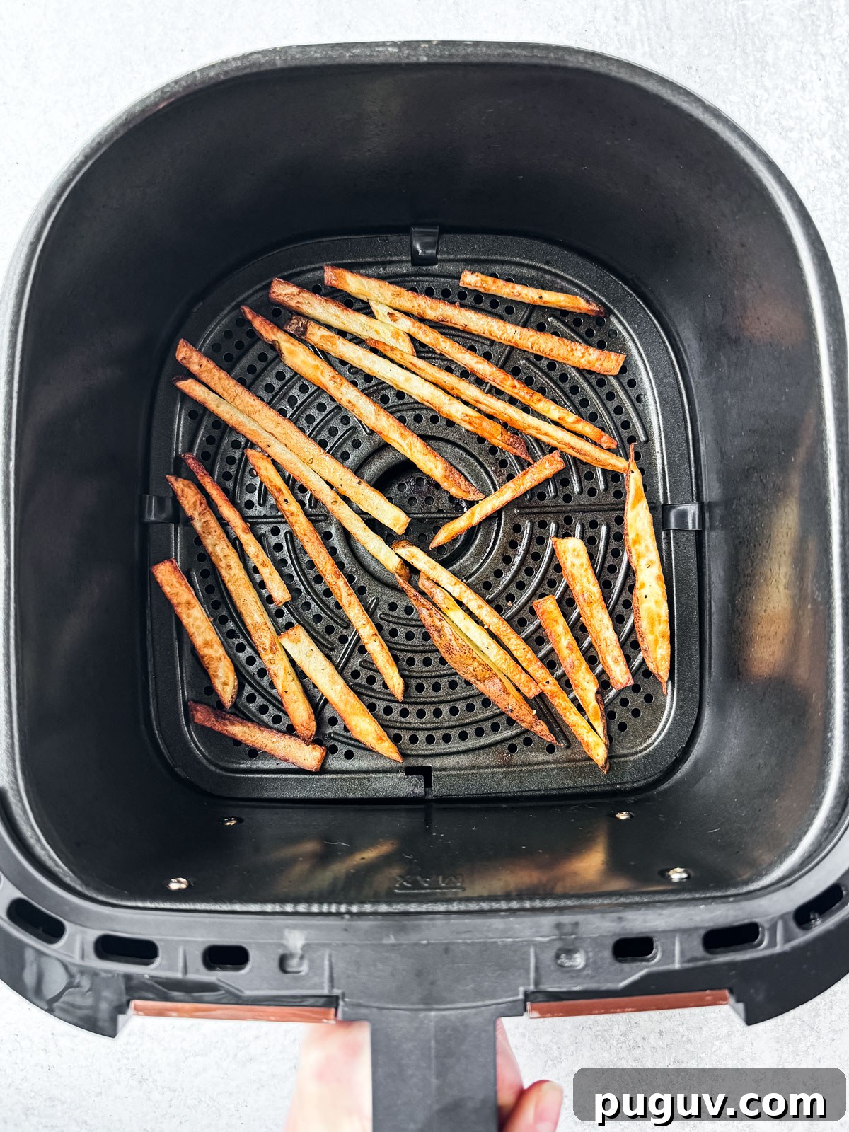 Crispy Air Fryer French Fries with 3 Ingredients 11 Crispy golden fries in the air fryer basket.