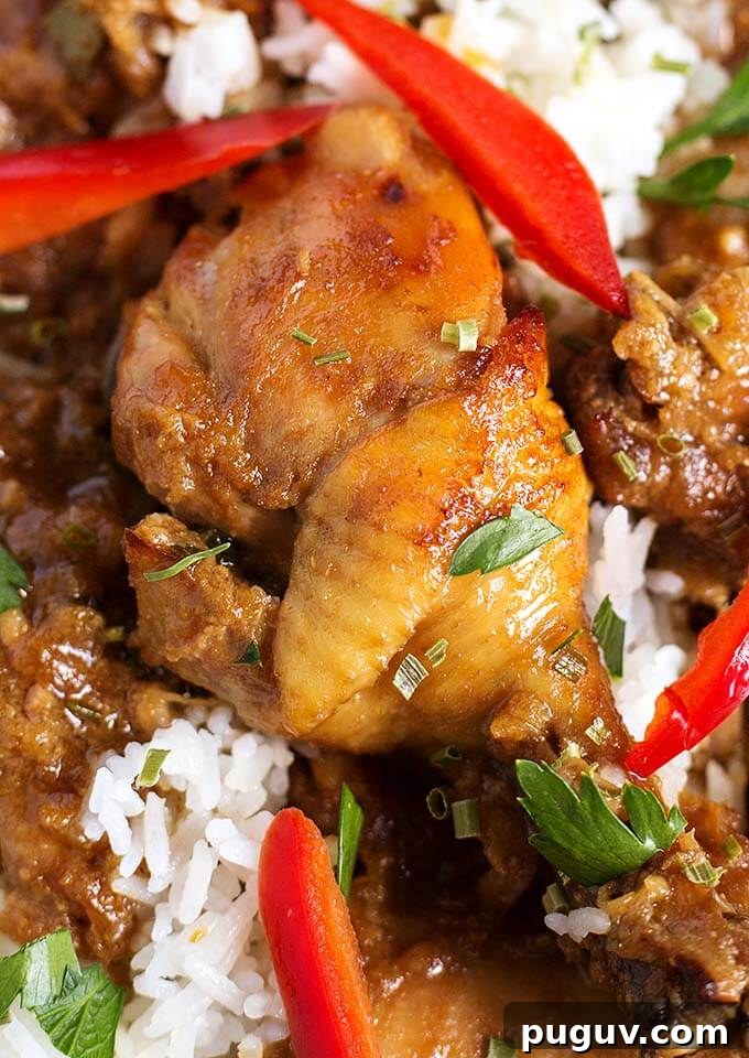 Instant Pot Filipino Chicken Adobo — Quick Authentic Recipe 3 Close up of Chicken Adobo Filipino with rice