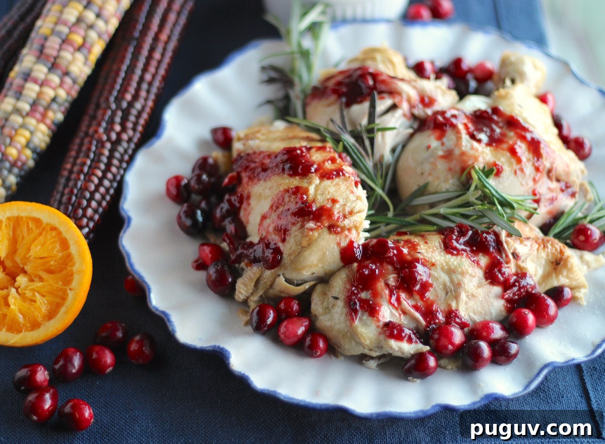 Instant Pot Whole Chicken with Cranberry Orange Sauce (AIP) - tender, herbed chicken is cooked with ease in the Instant Pot, then slathered with sweet and tangy cranberry orange balsamic sauce! | fedandfulfilled.com