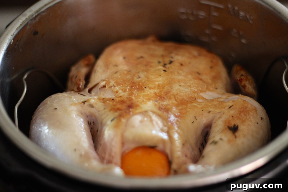 Instant Pot Whole Chicken with Cranberry Orange Sauce (AIP) - this chicken dish is delicious enough for holiday meals, yet easy and fast enough for weeknight dinners! SO good! | fedandfulfilled.com