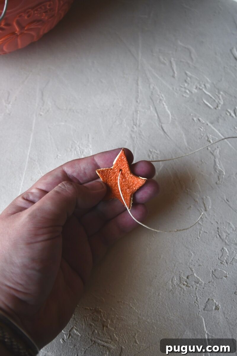 DIY Orange Peel Star Garland: Natural Holiday Decoration Tutorial 12 Poking the twine through a hole in dried orange peel stars.