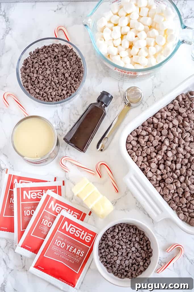 Decadent Hot Chocolate Fudge Recipe for Rich Cocoa Lovers 4 overhead photo of the ingredients laid out to make hot chocolate fudge