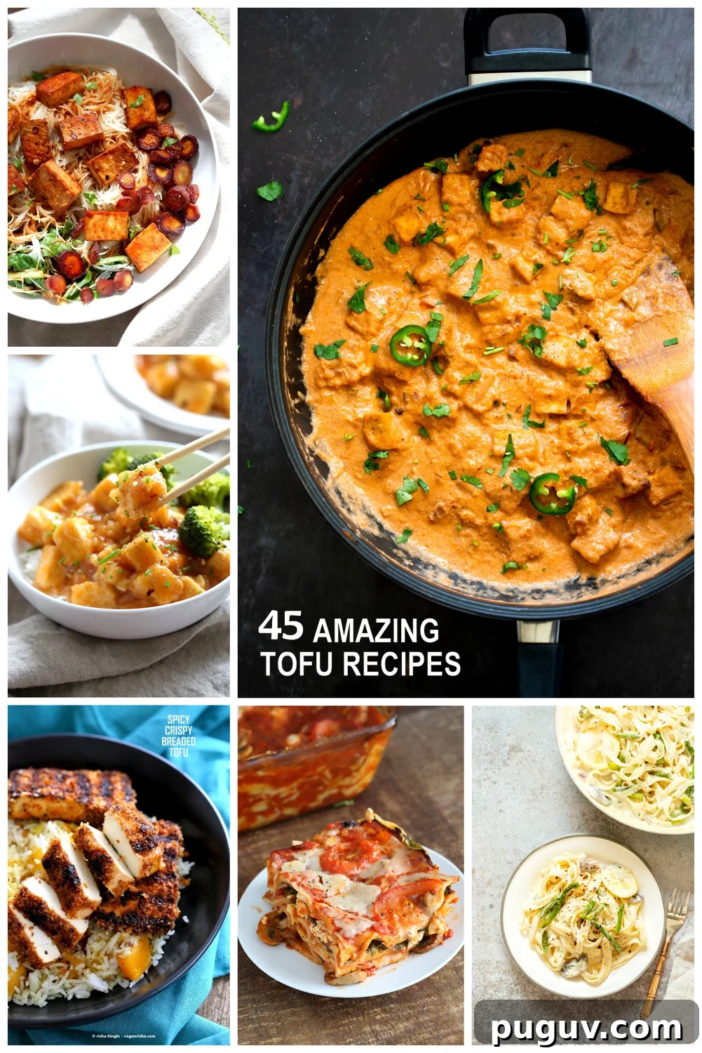 45 Tofu Recipes: Stir-Fries, Marinades, Curries, Sandwiches & More 2 Collage of Best tofu Recipes. 45 Best Tofu Recipes to Try. Stir-fries, Marinated and Baked, Curries, Pasta, Crispy Breaded Tofu, Sandwiches & More. No Bland tofu! Gluten-free Options. Vegan Tofu Recipes.