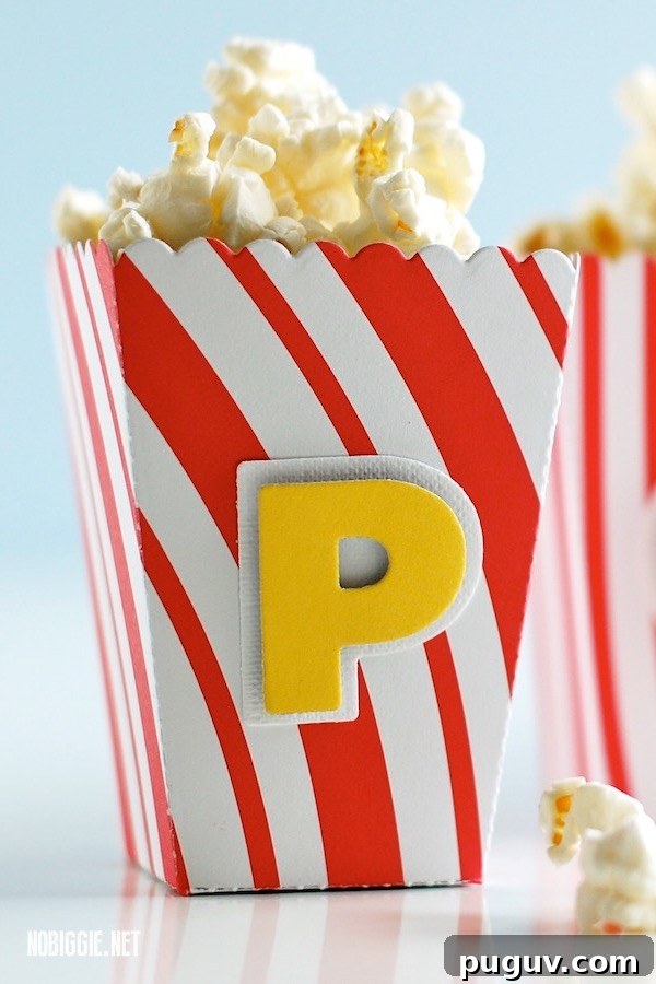 Mini Popcorn Boxes for Parties, Weddings, and Movie Nights 2 mini popcorn box | NoBiggie.net