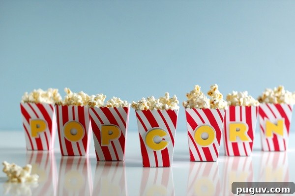 Mini Popcorn Boxes for Parties, Weddings, and Movie Nights 3 mini popcorn boxes | NoBiggie.net