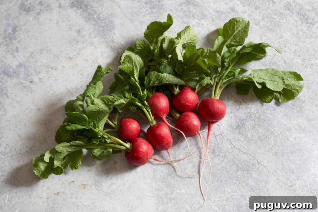 A bunch of radishes with the greens attached on a gray surface.