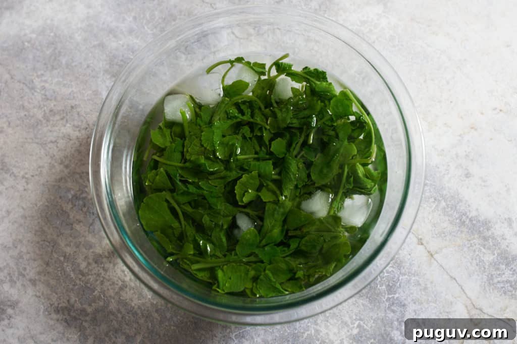 Blanched radish leaves in a bowl of ice water.
