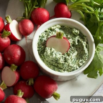 Fresh radishes on a platter surrounding a crock of radish leaf butter with half a radish dipped into it.