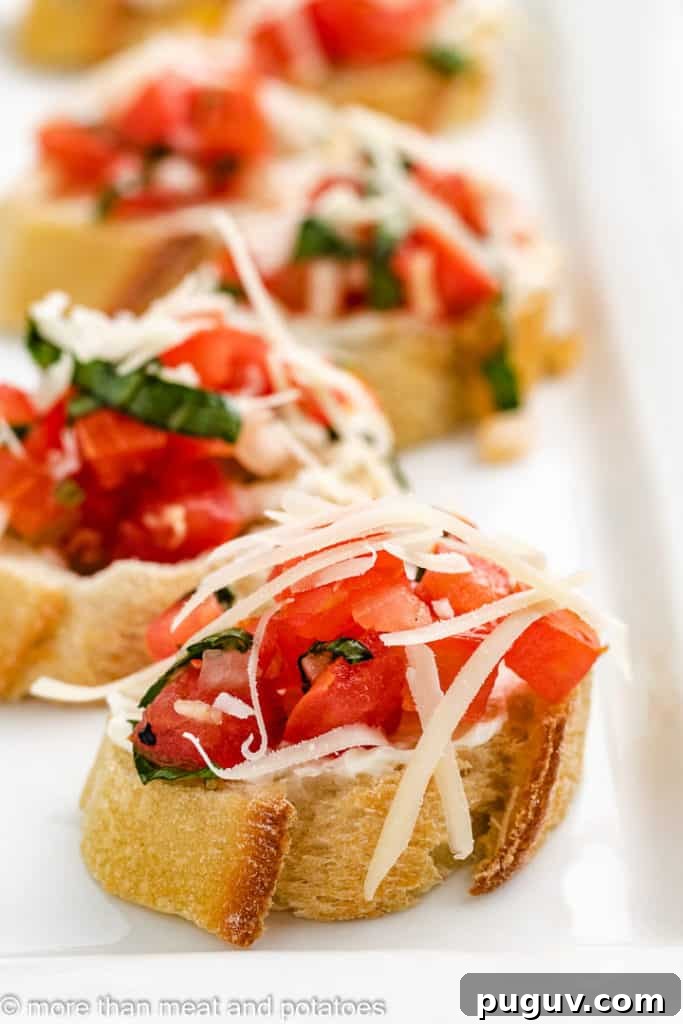 Perfect Pairings for Bruschetta: Appetizers, Salads & Wines 2 Pieces of tomato bruschetta topped with Parmesan cheese.