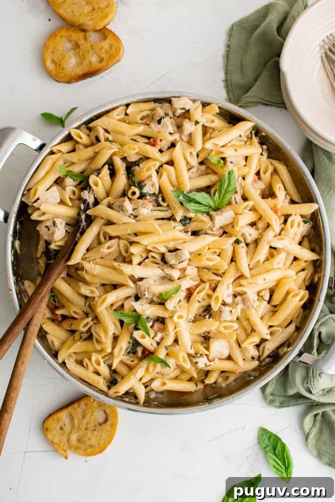 Perfect Pairings for Bruschetta: Appetizers, Salads & Wines 6 Top down view of Tuscan chicken pasta in a skillet.