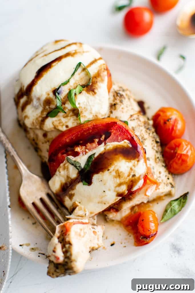 Perfect Pairings for Bruschetta: Appetizers, Salads & Wines 9 Top down view of baked caprese chicken on a plate.