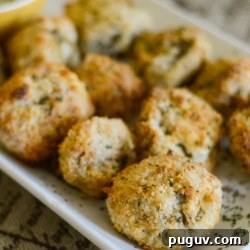 Crispy Air-Fried Mushrooms (Gluten-Free Option) 8 img 3376 8