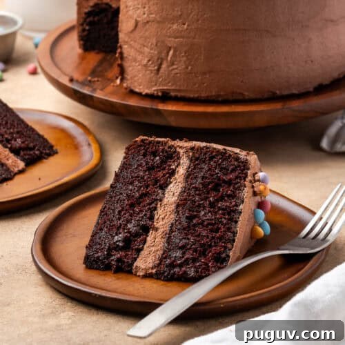 A slice of chocolate cake served on a small dessert plate.