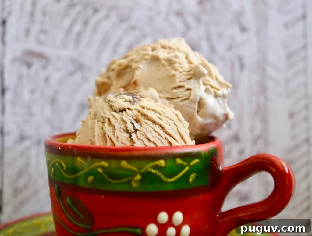 10 Delicious Gluten-Free, Dairy-Free Ice Cream Recipes 2 coffee ice cream