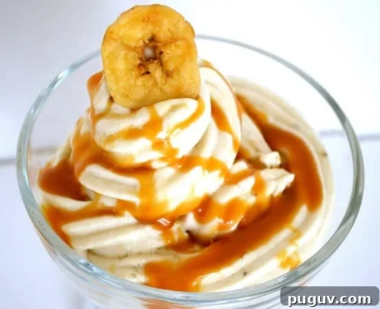 10 Delicious Gluten-Free, Dairy-Free Ice Cream Recipes 11 banana ice cream