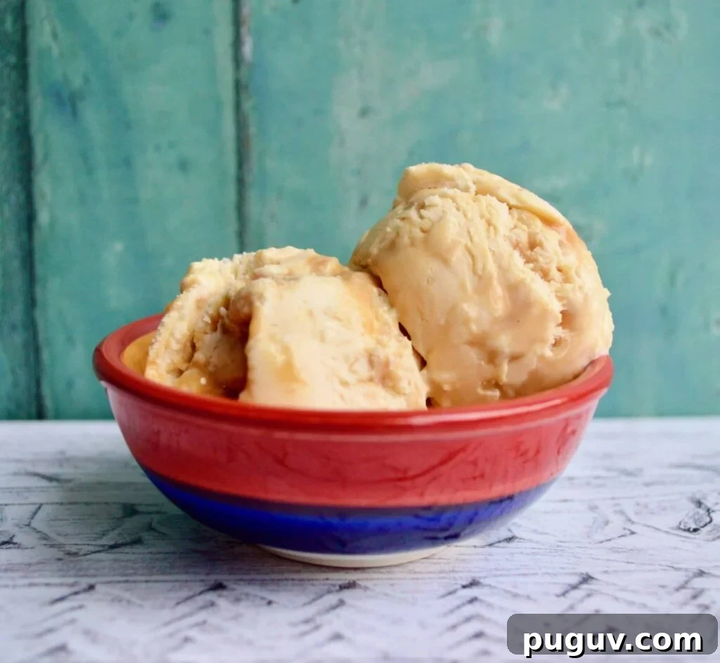 10 Delicious Gluten-Free, Dairy-Free Ice Cream Recipes 4 salted caramel ice cream