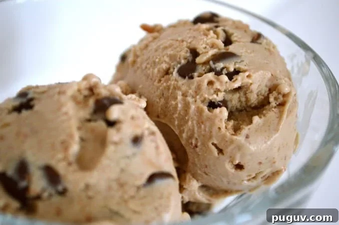 10 Delicious Gluten-Free, Dairy-Free Ice Cream Recipes 6 peanut butter ice cream
