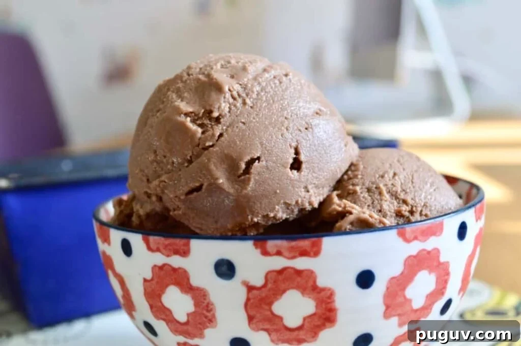 10 Delicious Gluten-Free, Dairy-Free Ice Cream Recipes 7 mocha icecream