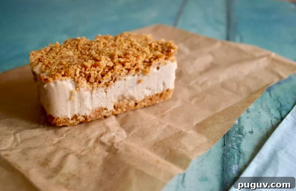 10 Delicious Gluten-Free, Dairy-Free Ice Cream Recipes 10 ice cream biscuit bar