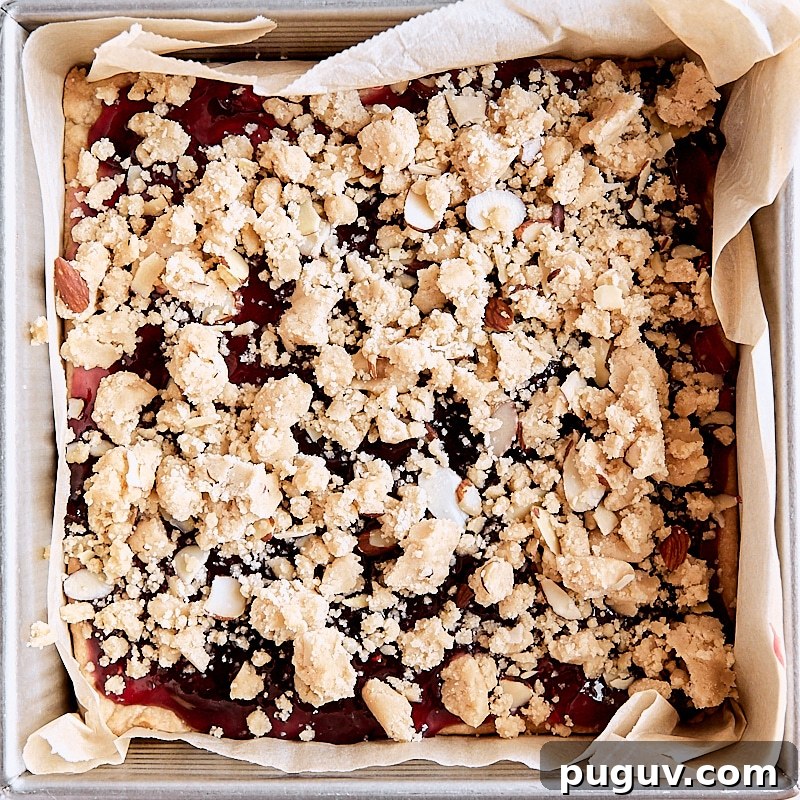 Homemade Jam Crumble Bars Recipe — Simple Fruit-Filled Dessert 6 Assembled crumb bars in parchment-lined square baking pan