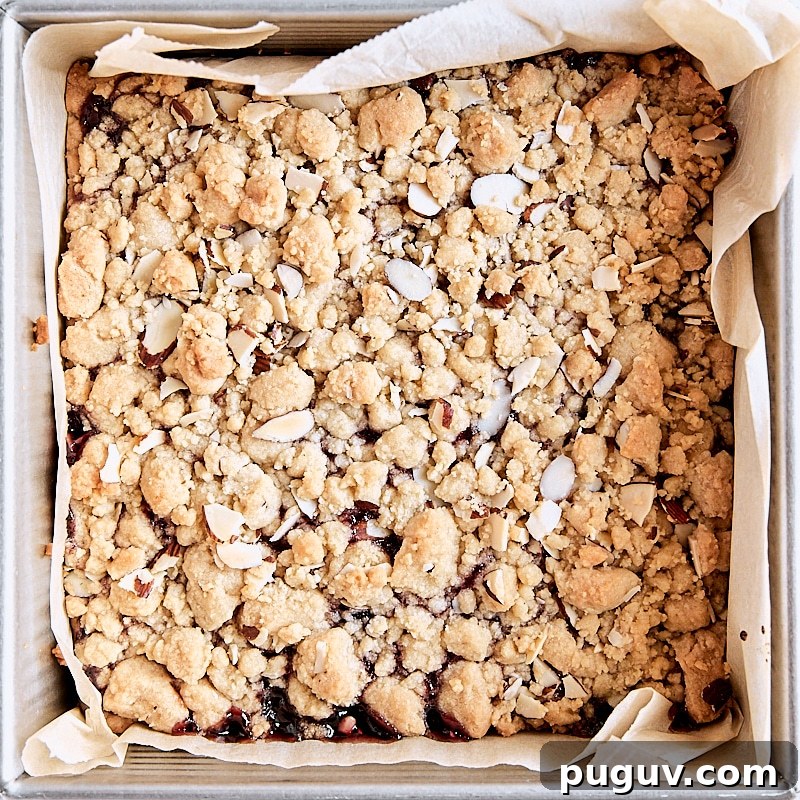 Homemade Jam Crumble Bars Recipe — Simple Fruit-Filled Dessert 7 Baked crumb bars cooling in parchment-lined square baking pan