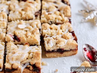 Jam Crumb Bars