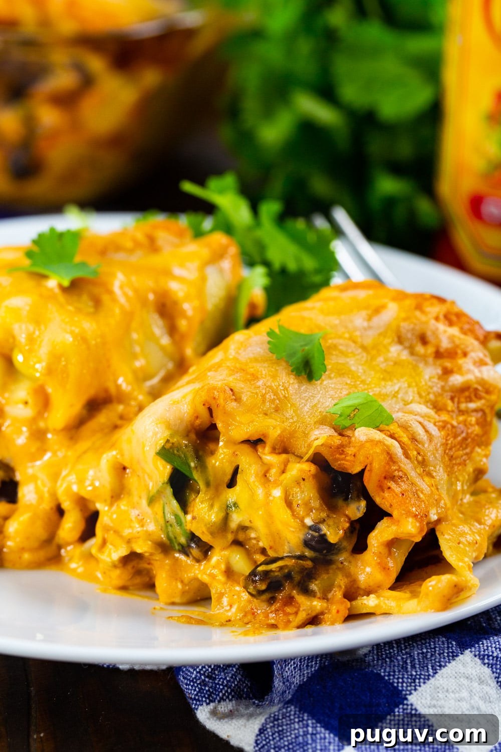 Southwestern Chicken Lasagna Roll-Ups on a plate.