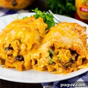 Two Southwestern Chicken Lasagna Roll-Ups on a plate.
