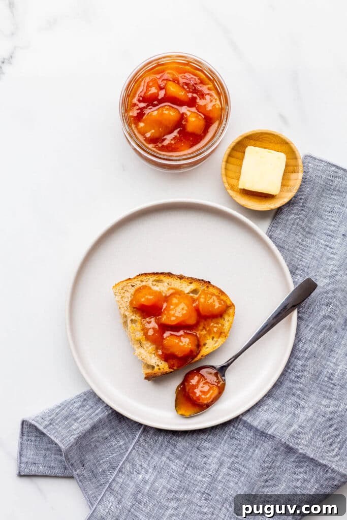 A piece of sourdough bread with peach jam spooned on top.