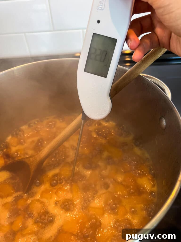 Using a digital thermometer to verify that the jam has boiled to the setting temperature of 220 °F (114-115 °C).