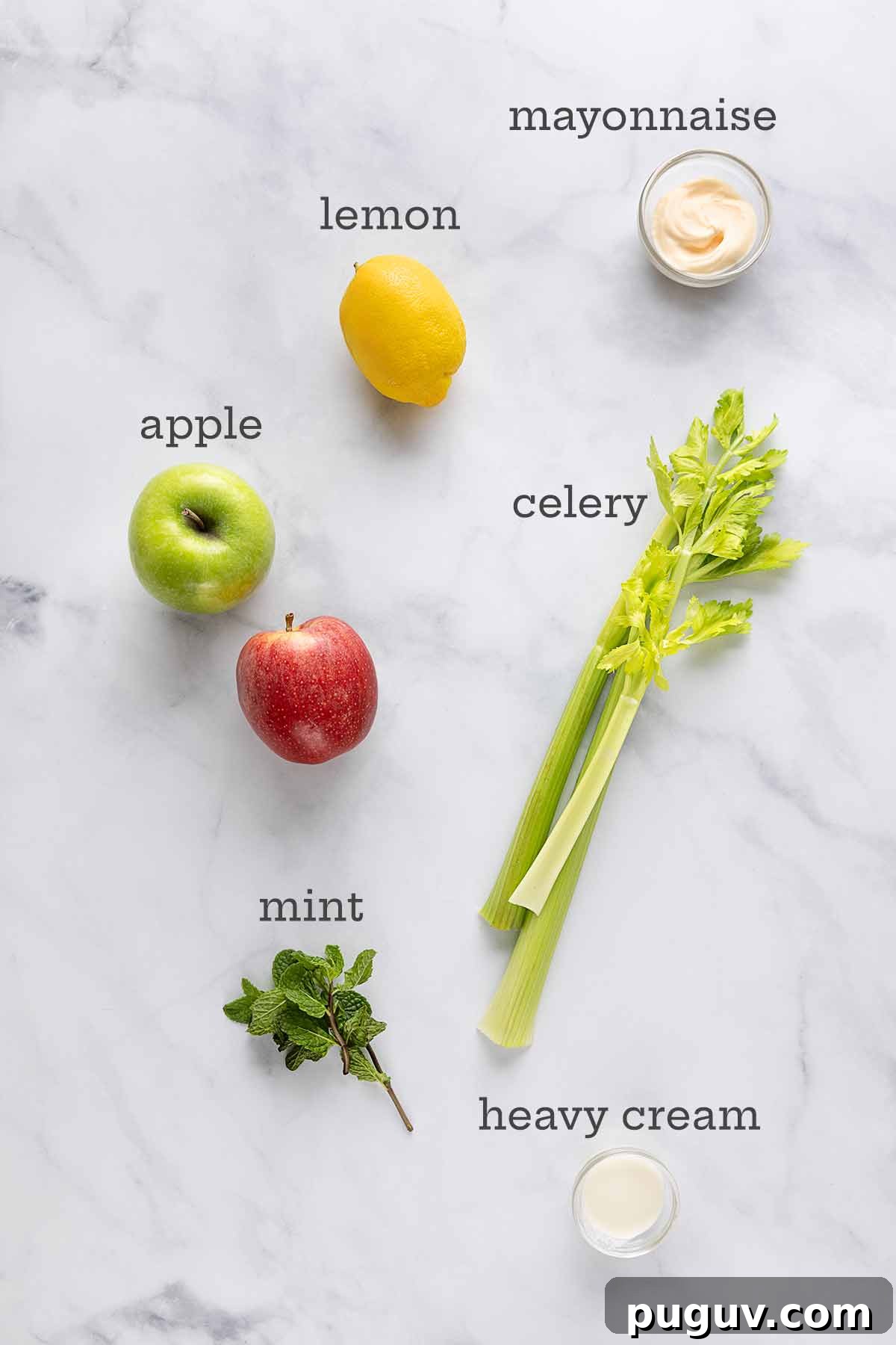 Ingredients for apple and celery salad--celery, apple, lemon, mayonnaise, creamy, and mint.
