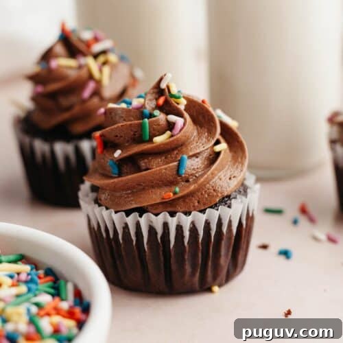 Two chocolate cupcakes with chocolate frosting and rainbow sprinkles.
