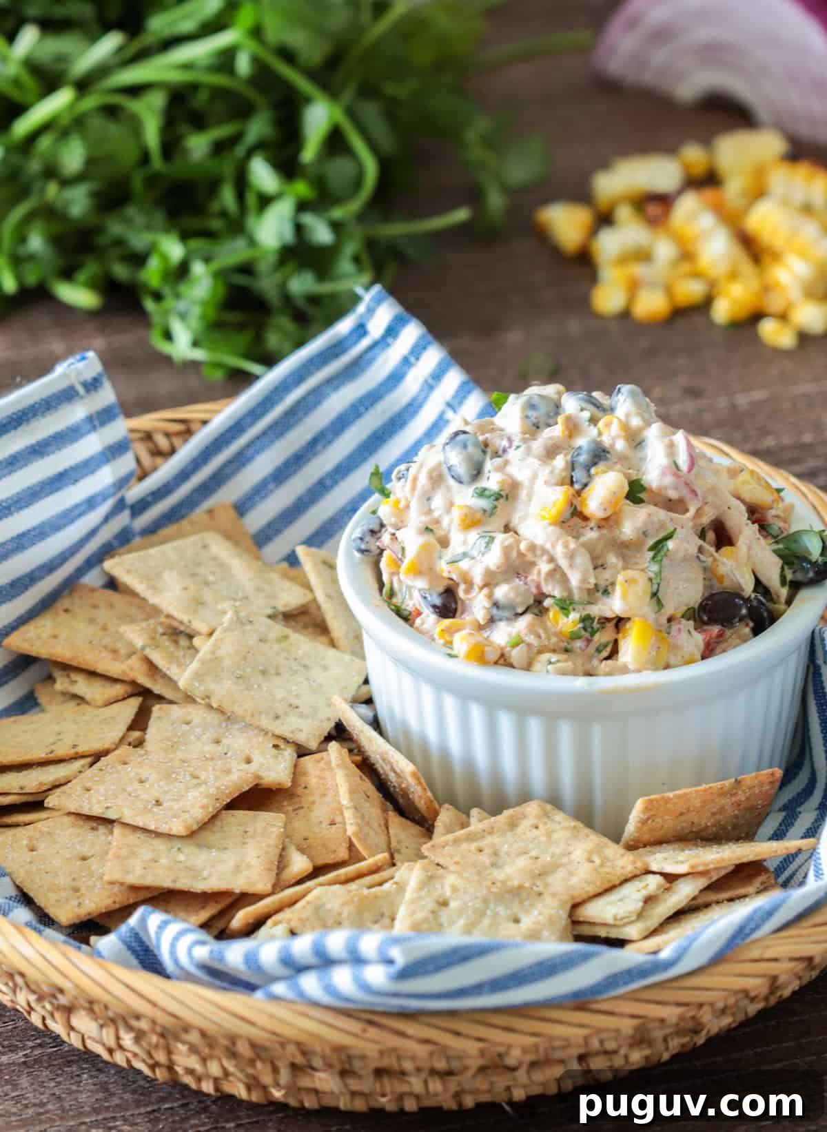 Creamy Mexican Chicken Salad Dip Recipe for Parties 2 Mexican Chicken Salad in bowl with crackers on the side.