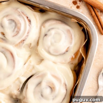 Cinnamon Rolls for Two: Small-Batch Recipe with Gooey Frosting 13 Small Batch Cinnamon Rolls