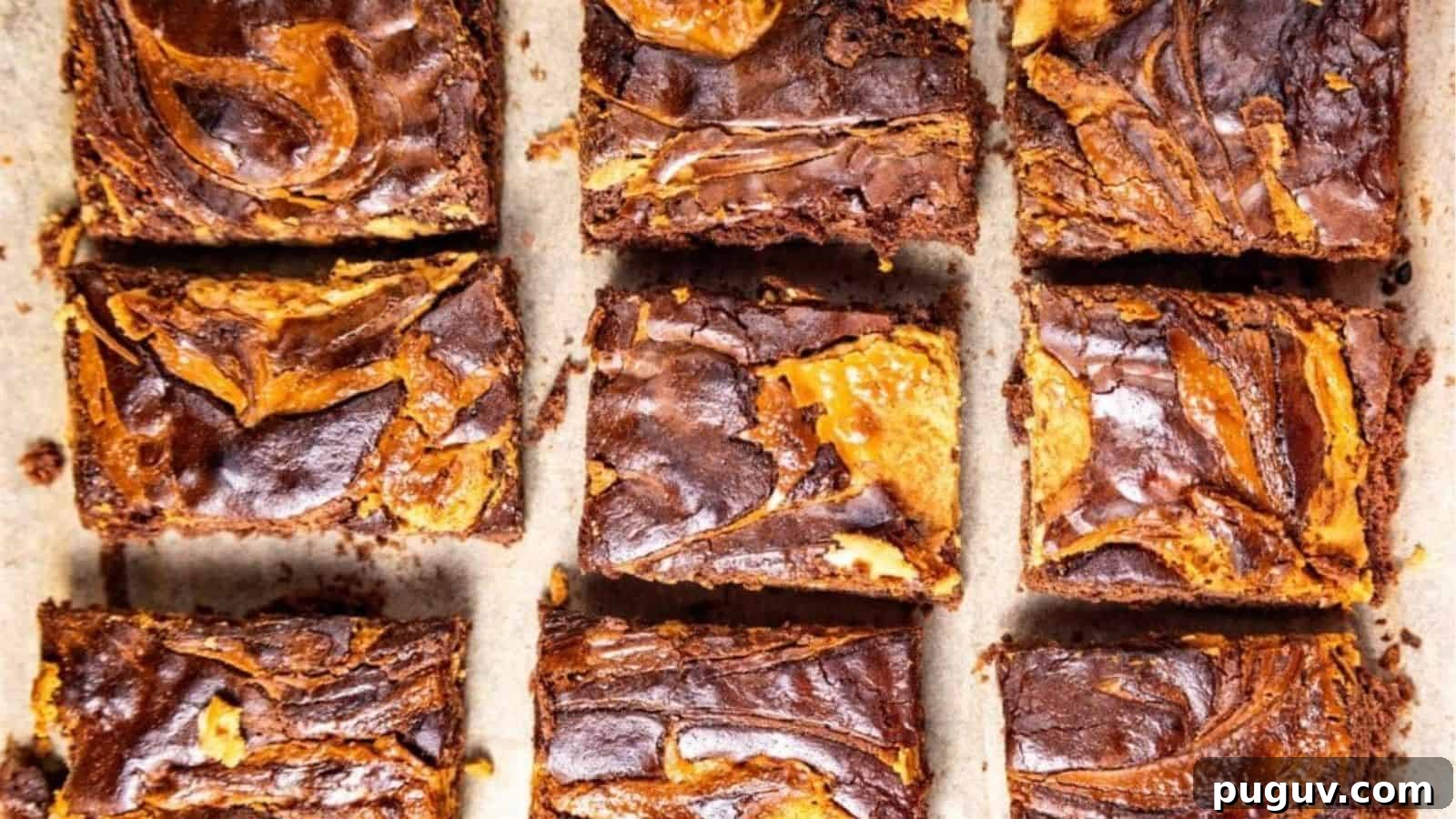 Fudgy Peanut Butter Brownies Recipe