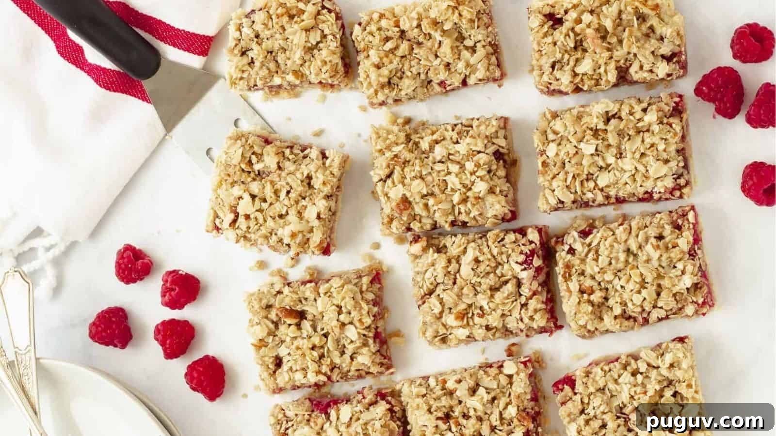 Raspberry Oatmeal Bars
