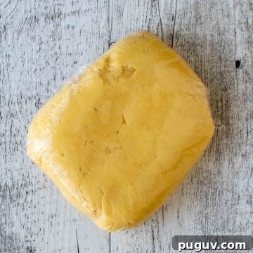 Pastry dough wrapped in plastic.