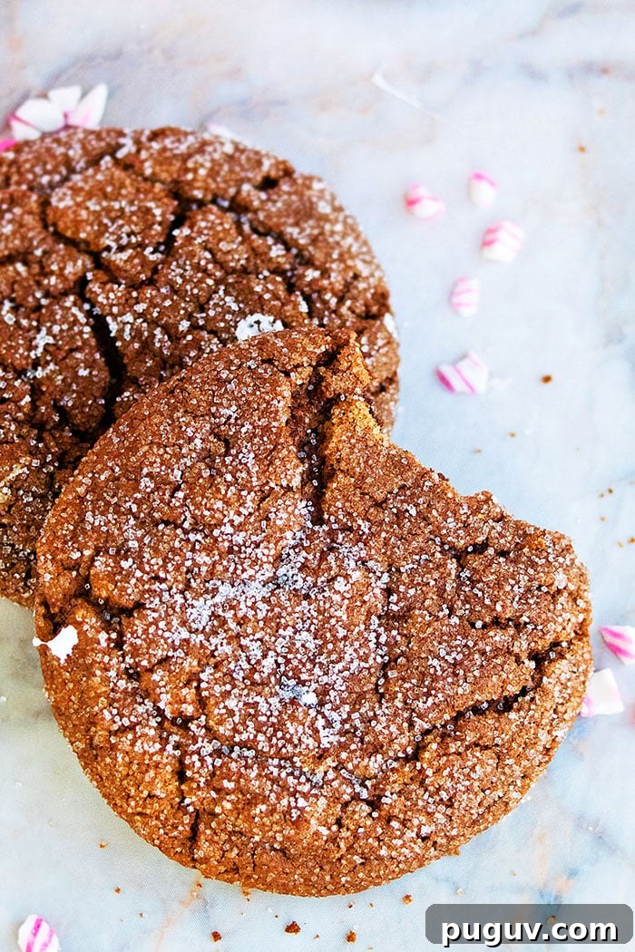 Partially Eaten Spicy Hot Cocoa Cookies With Cake Mix on Marble Background