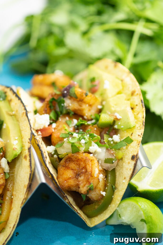 Sheet Pan Shrimp Fajitas Recipe for Quick Weeknight Dinners 4 Corn tortilla in a taco stand filled with shrimp fajita filling next to a lime wedge with a bunch of cilantro behind.