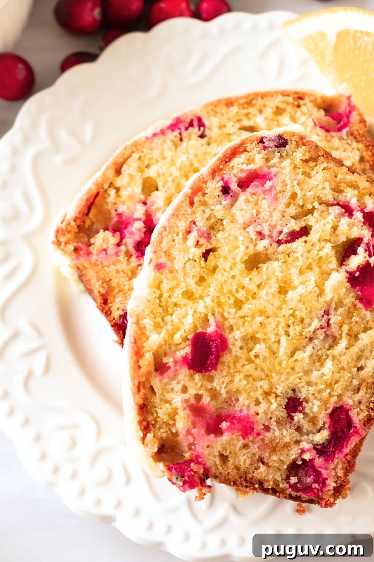 Gluten-Free Cranberry Bread (Dairy-Free) Two slices of orange cranberry bread on white plate.