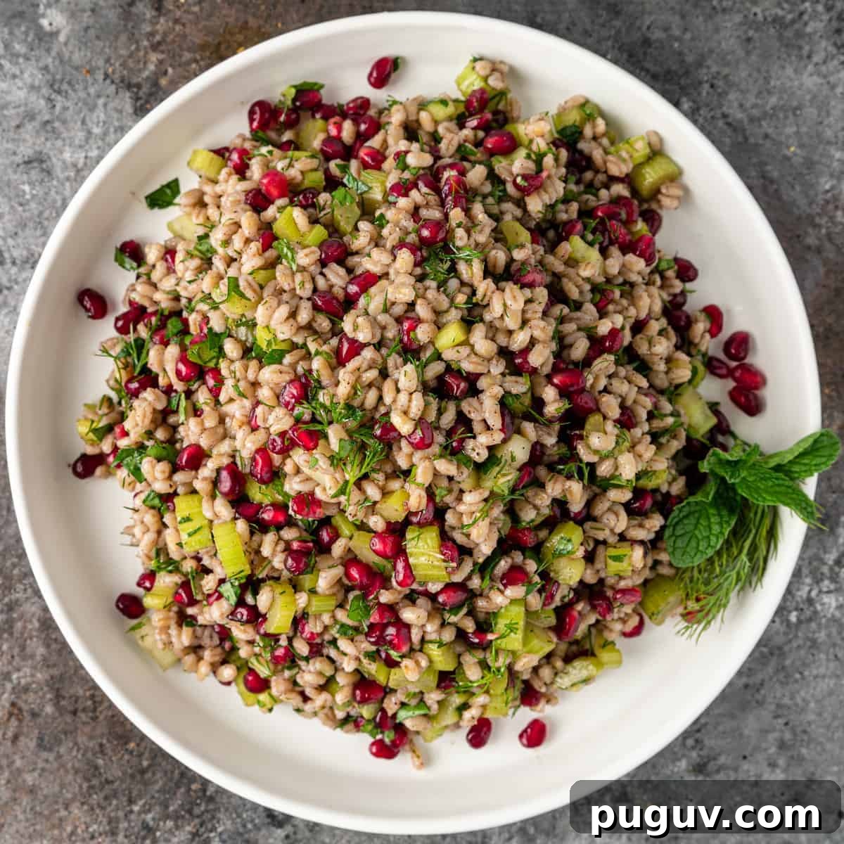Egyptian Barley Salad with Pomegranate and Fresh Herbs 2 overhead: egyptian barley salad on a white plate with pomegranate seeds