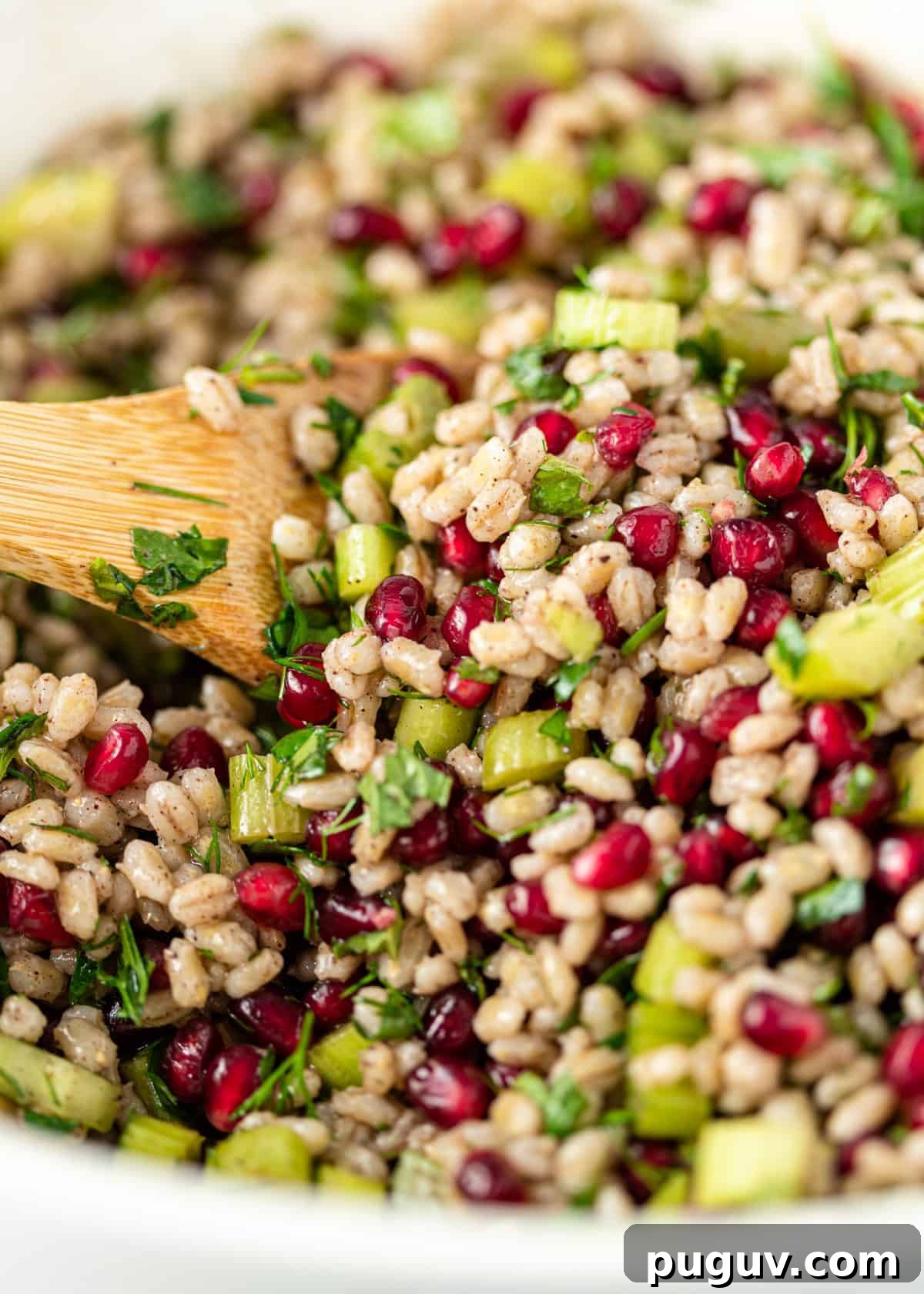Egyptian Barley Salad with Pomegranate and Fresh Herbs 4 closeup: heart healthy salad with pearl barley and pomegranate