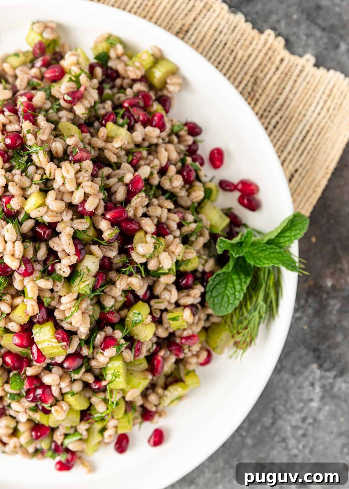 Egyptian Barley Salad with Pomegranate and Fresh Herbs 5 overhead: egyptian barley salad with pomegranate seeds and chopped celery on a white plate