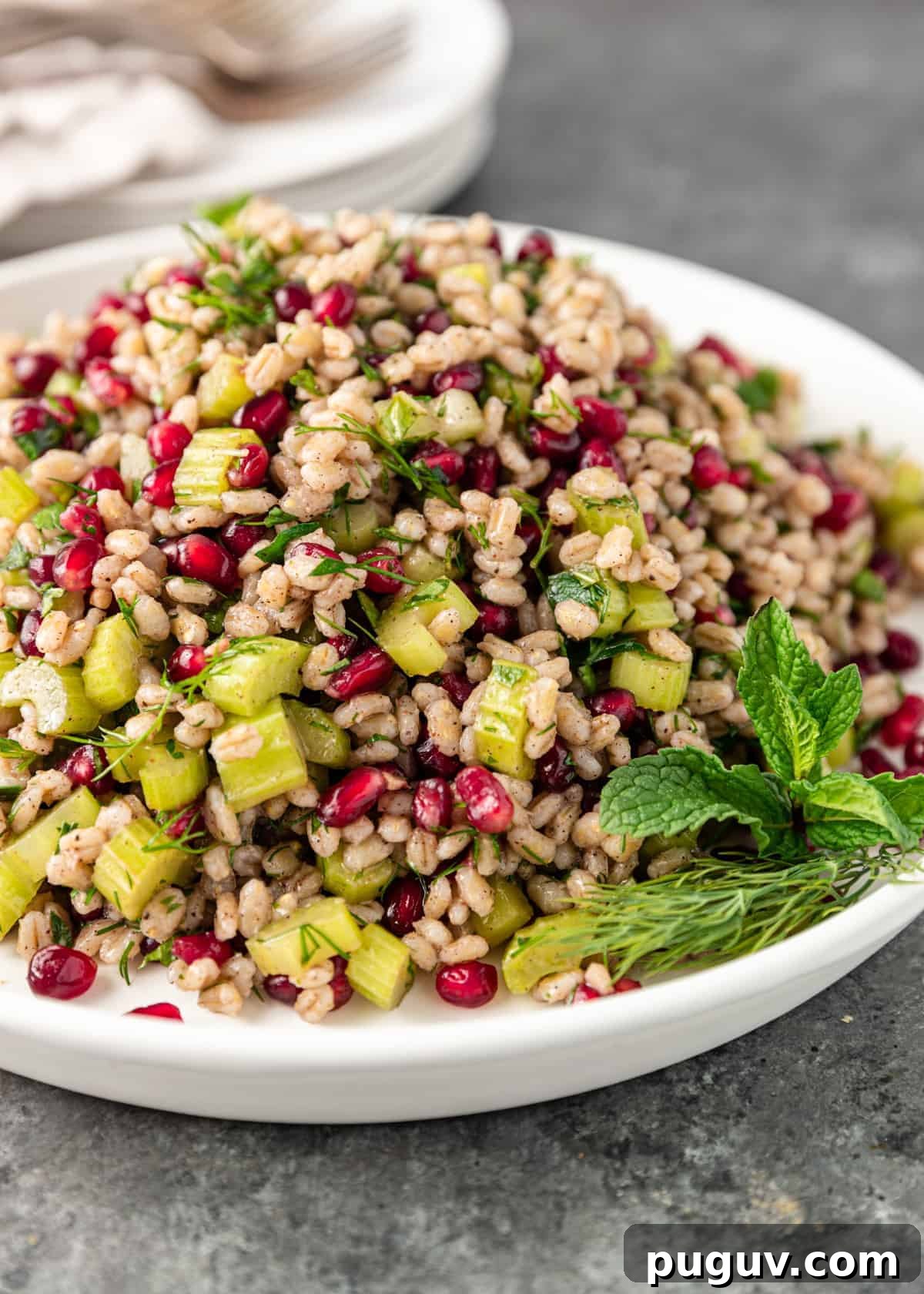 Egyptian Barley Salad with Pomegranate and Fresh Herbs 6 closeup: pomegranate barley salad on a white plate