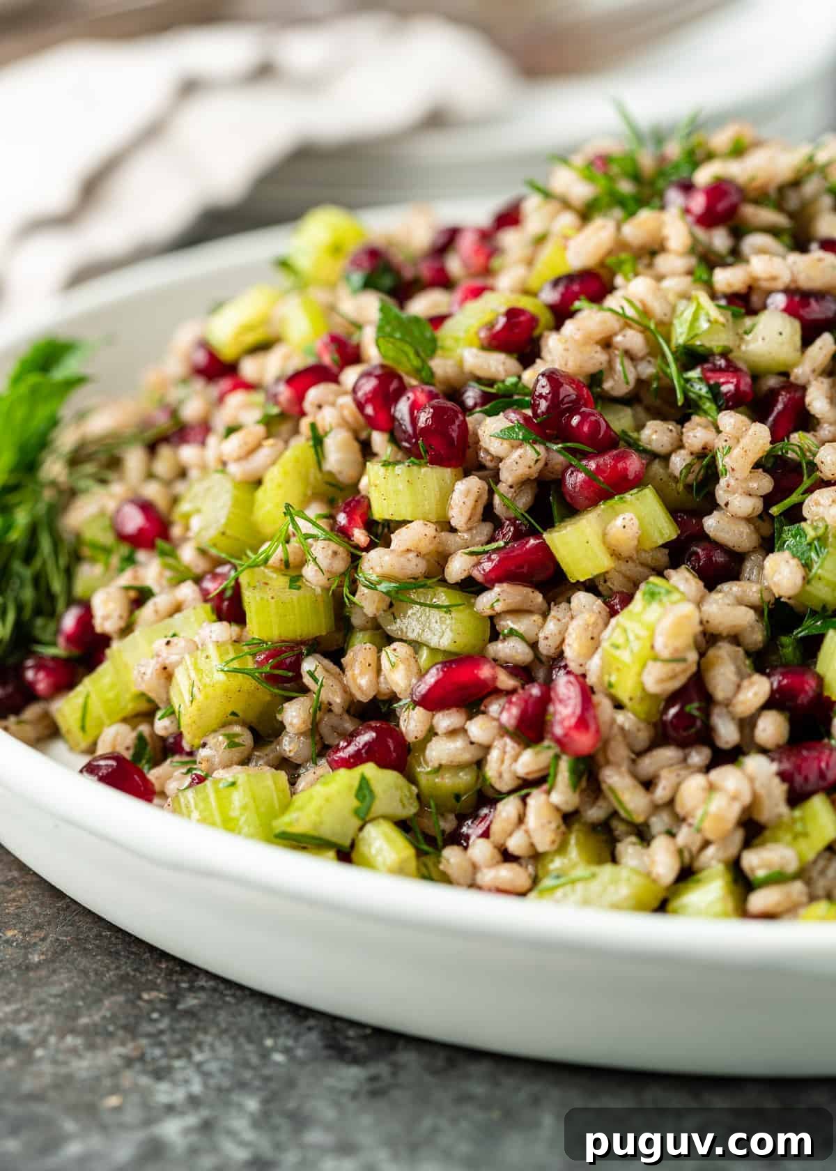 Egyptian Barley Salad with Pomegranate and Fresh Herbs 7 closeup: pearl barley with celery, garlic, herbs, and pomegranate seeds in delicious homemade dressing
